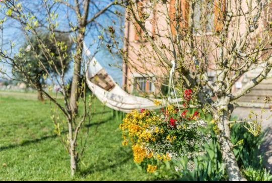 B&B Il Roseto Spilamberto Exterior photo